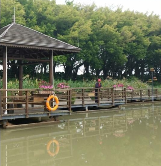 wetland in Guangzhou