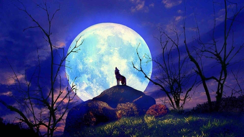 Moonlight