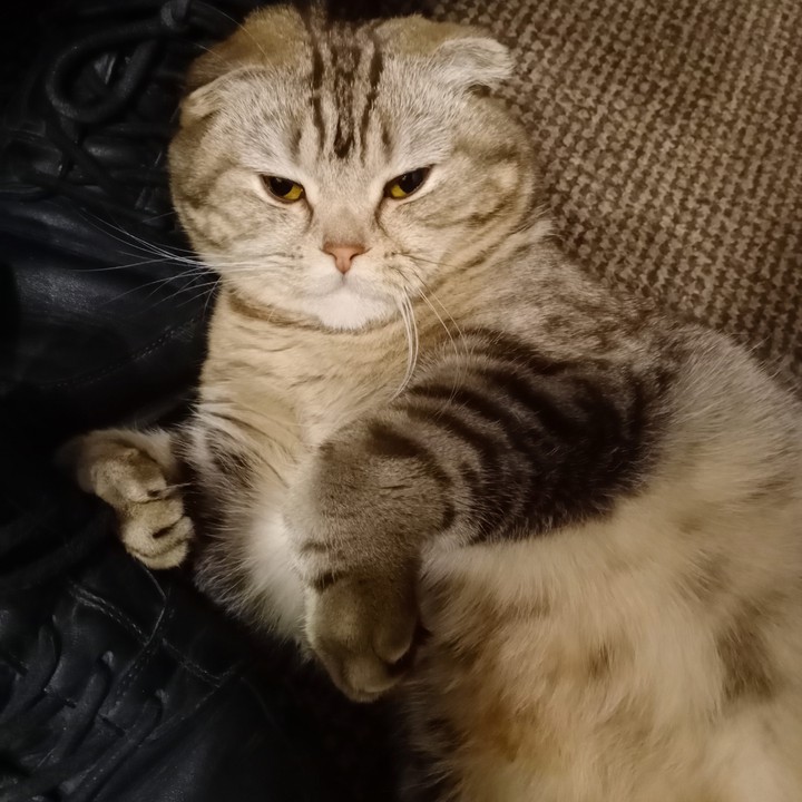 .