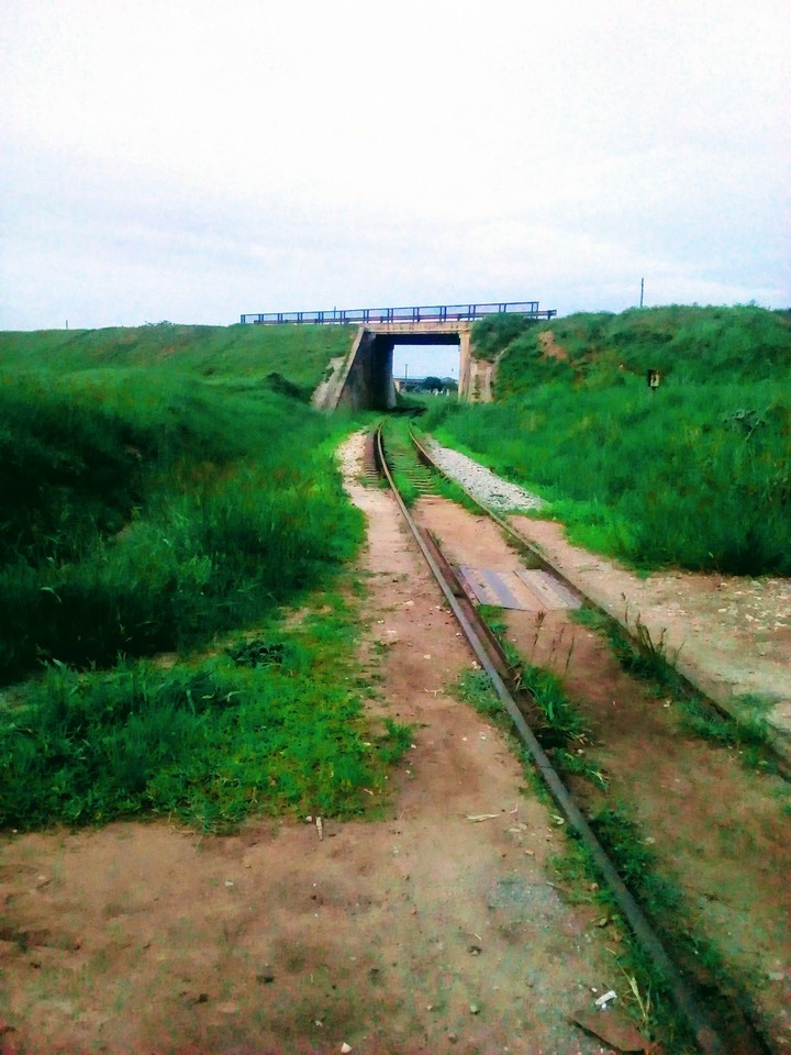bridge