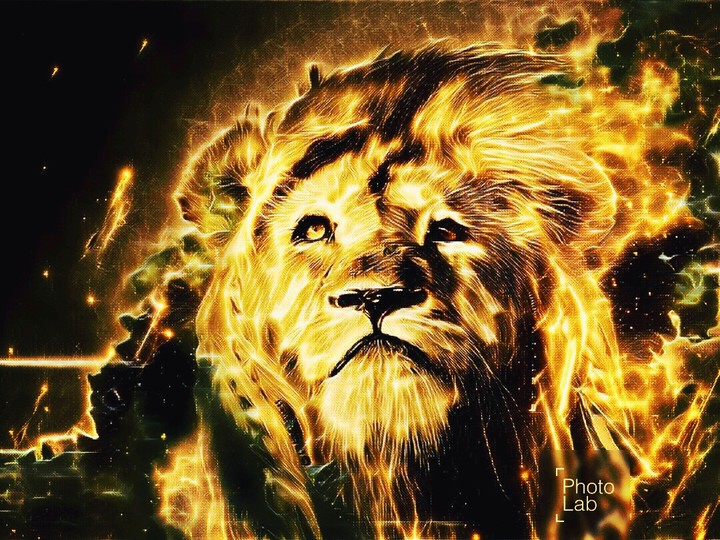 mighty lion