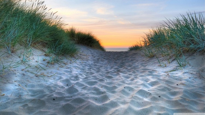 Seaside path