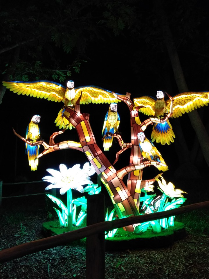 Lighted Statue