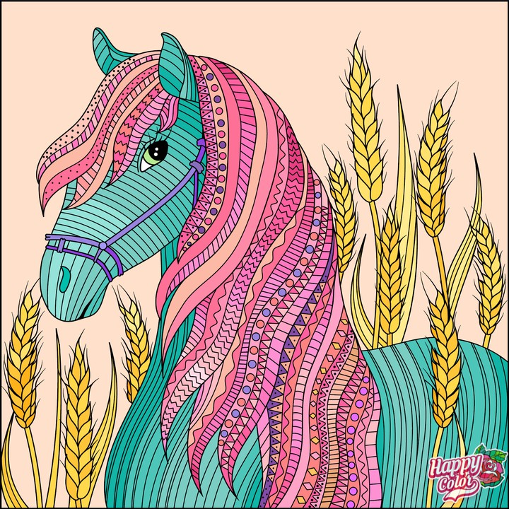 Cavalo