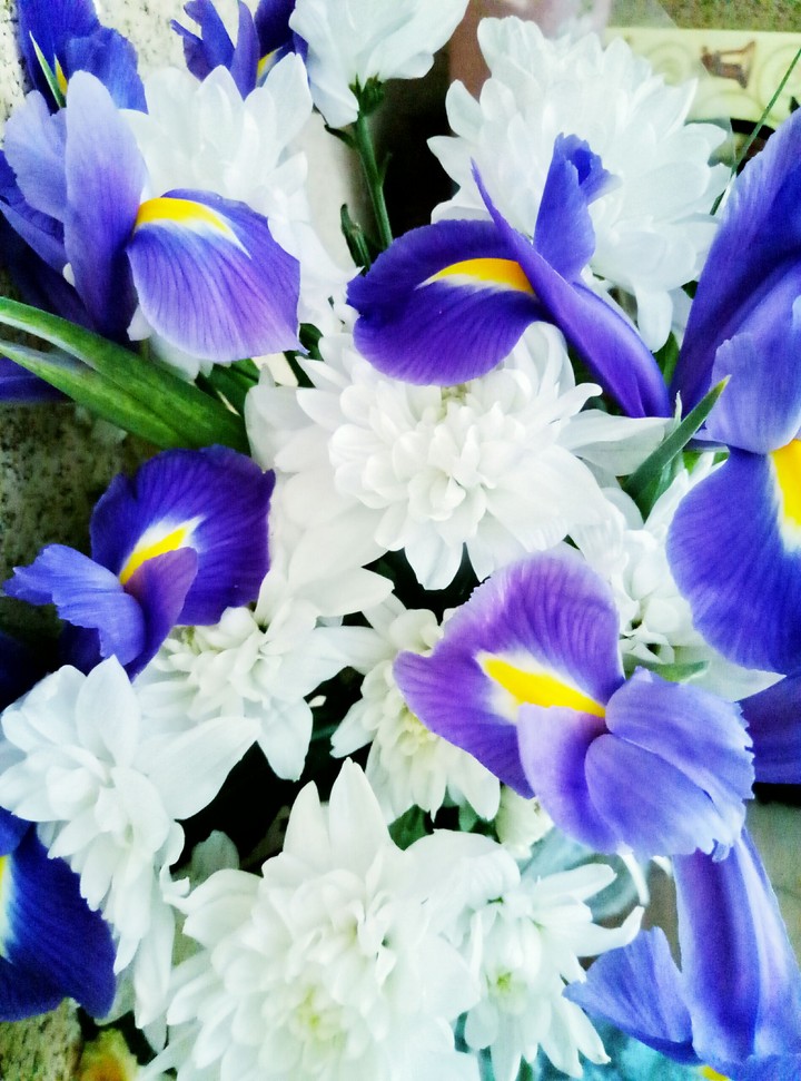 flowers