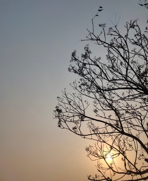 Ambience