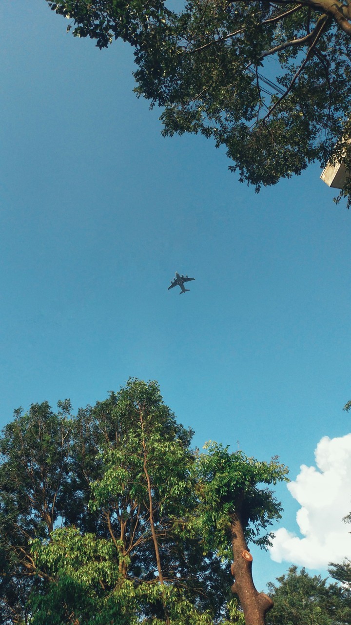 Plane