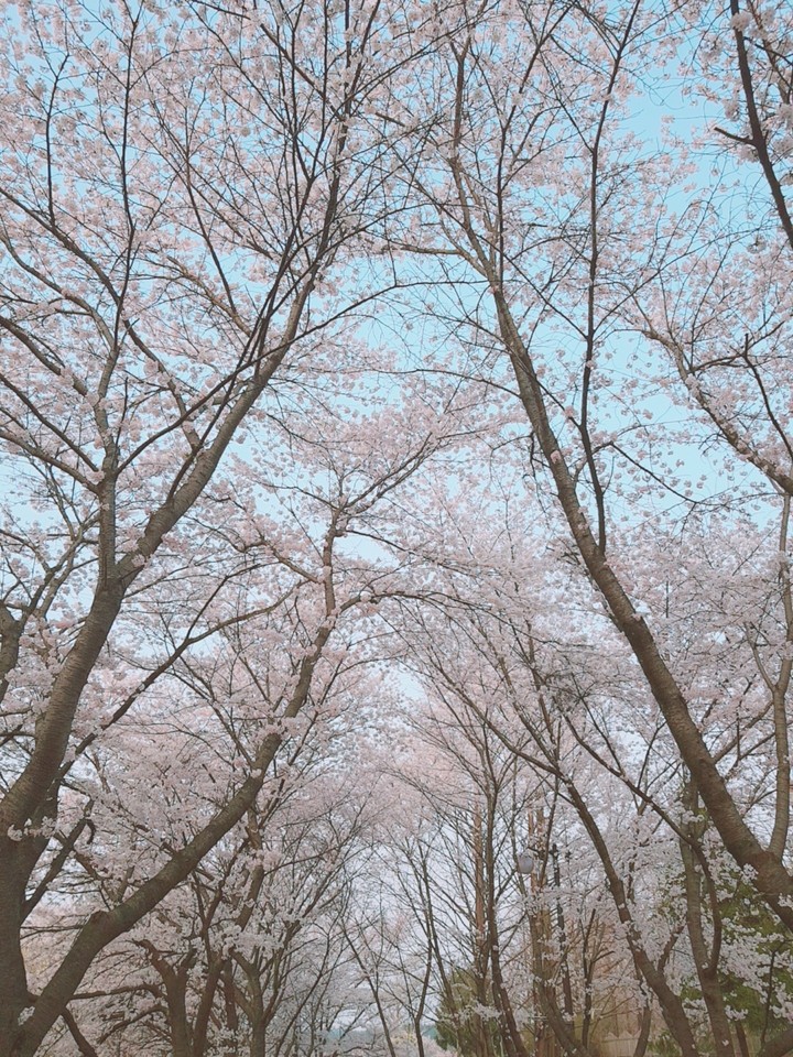 봄