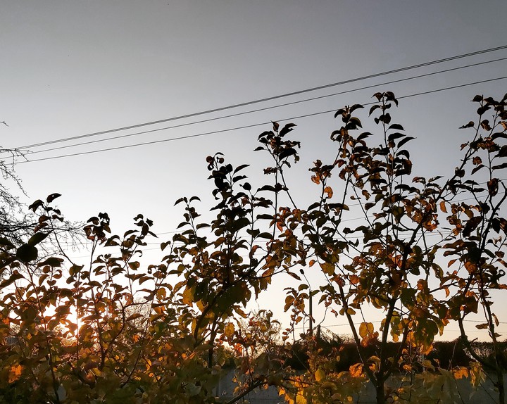 Lovely Autumn