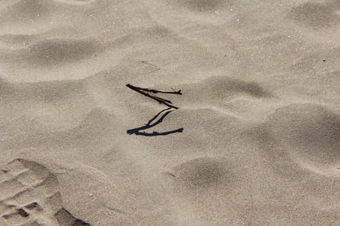 beach