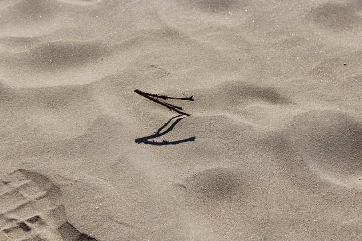 beach