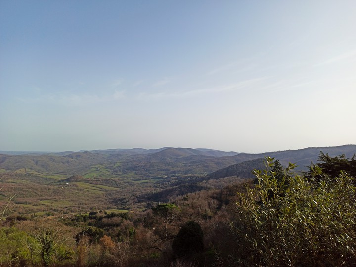 Tolfa