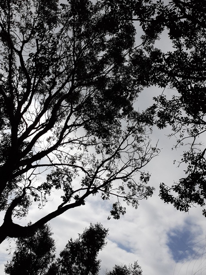 Sky in my school