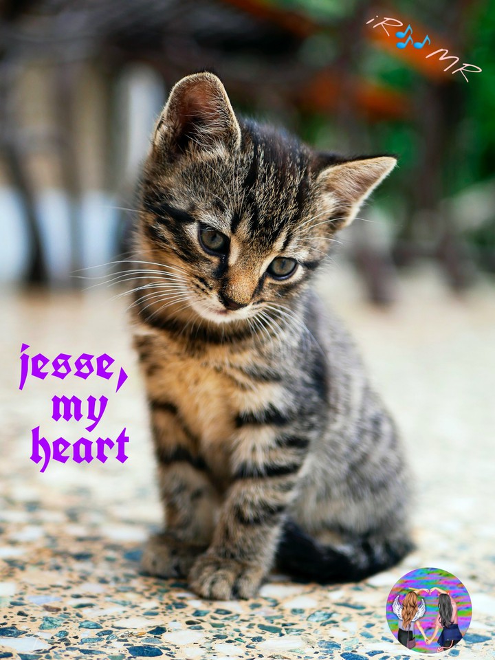 jesse, my heart