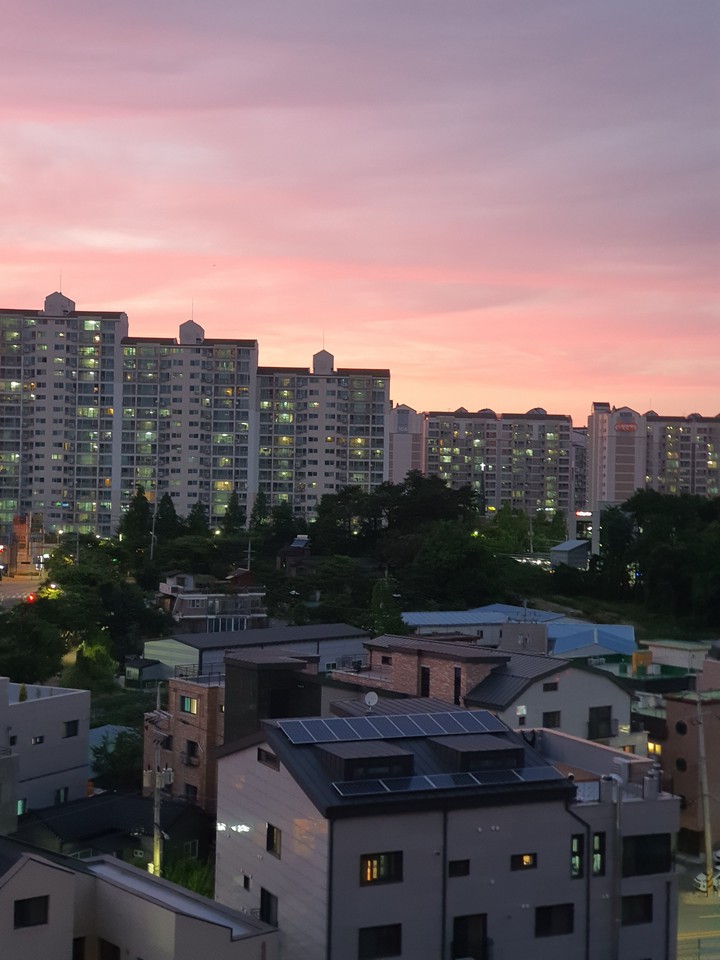 The pink sky