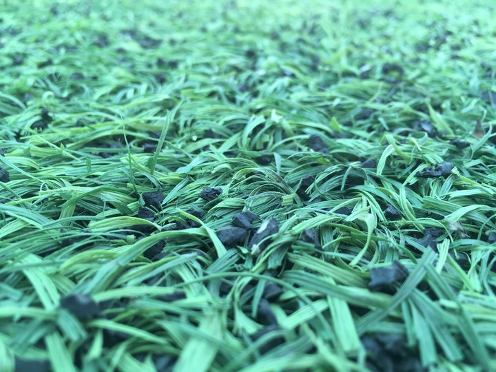 Grass..(turf)