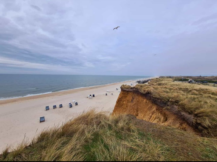 Meer