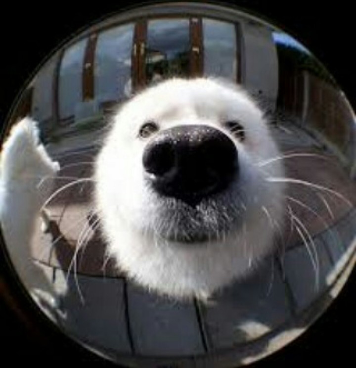 Through the lens