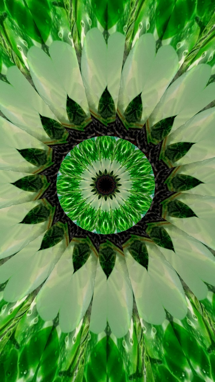 Kaleidoscopes by SexyMugsy
