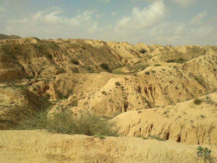 Sands of Sahara