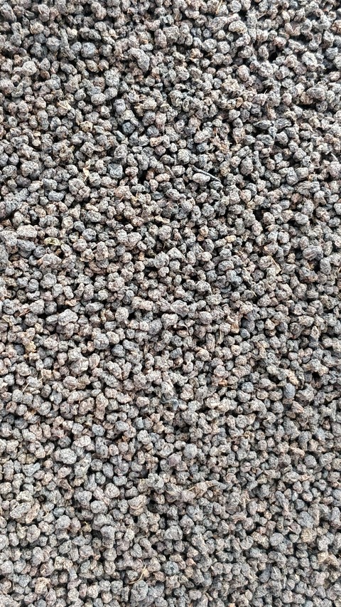 ROCKS