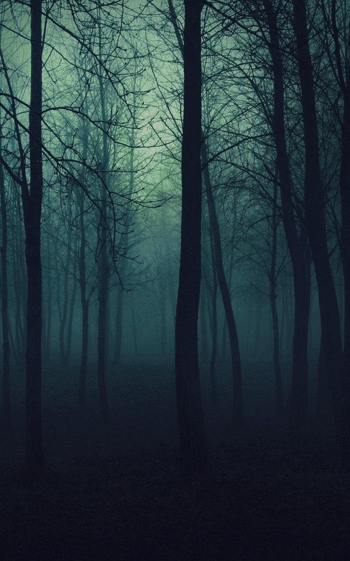 trees
