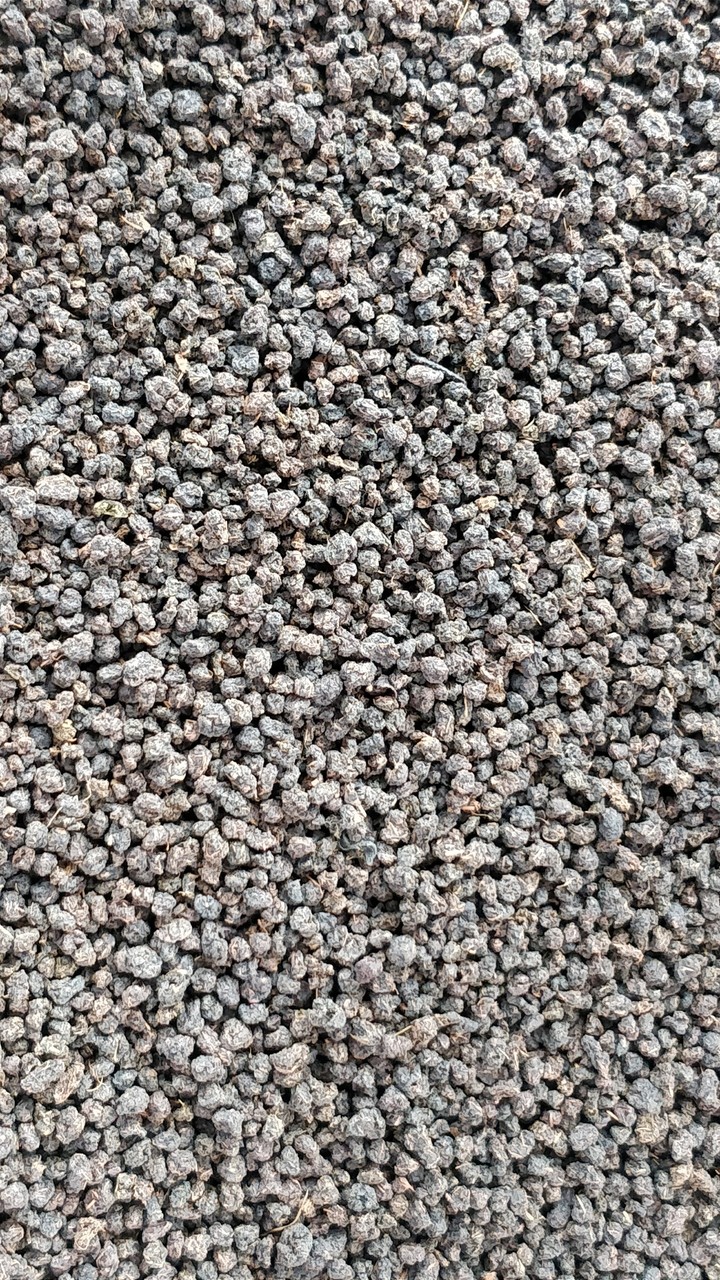 ROCKS