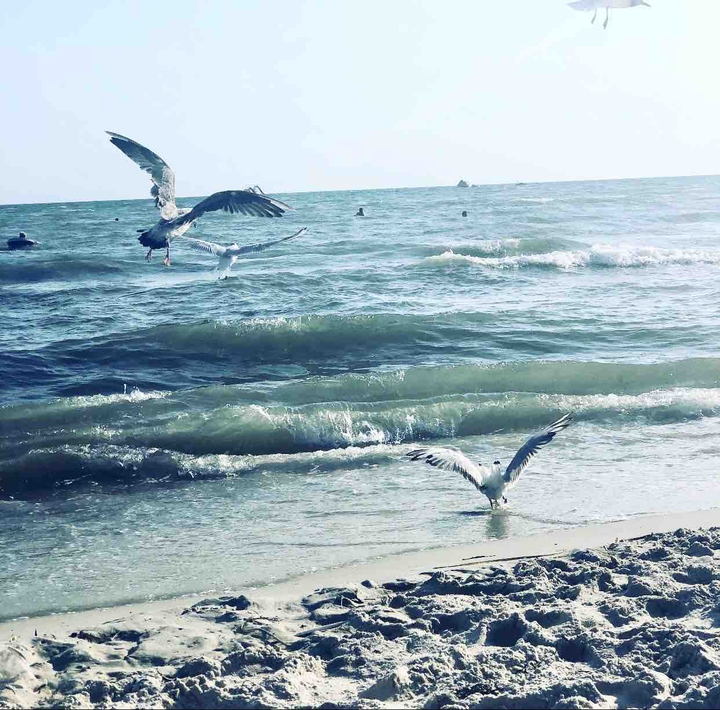 Море