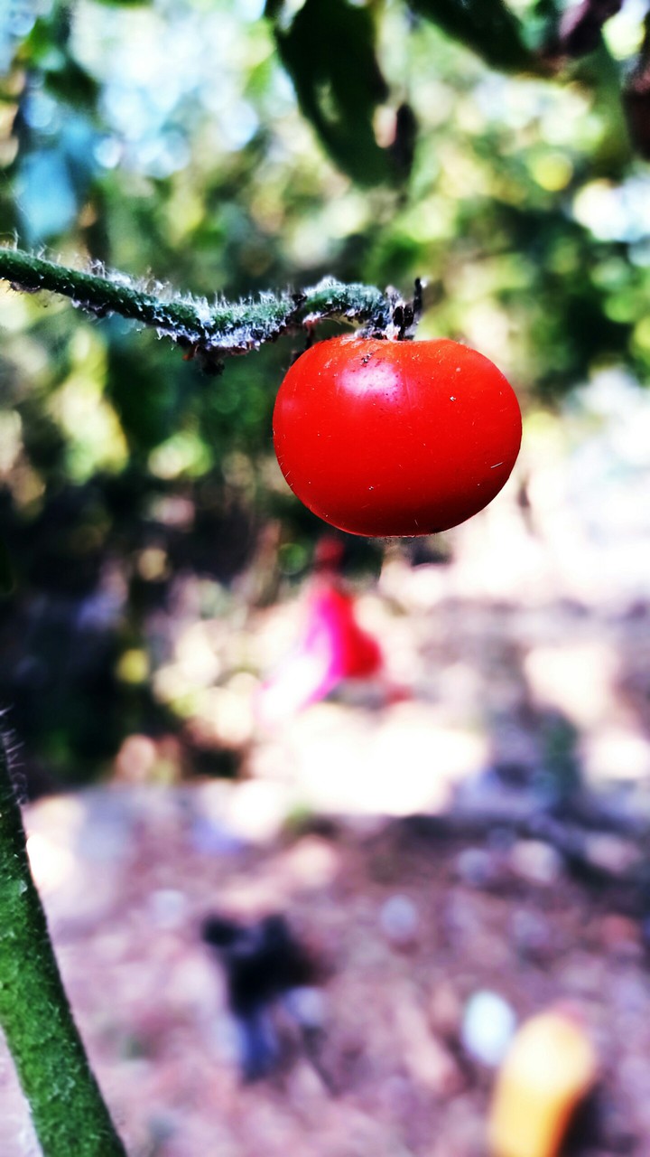 nature