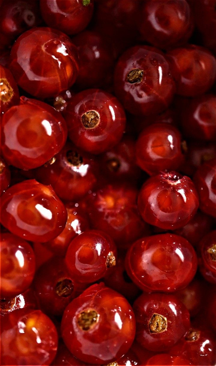 fruits