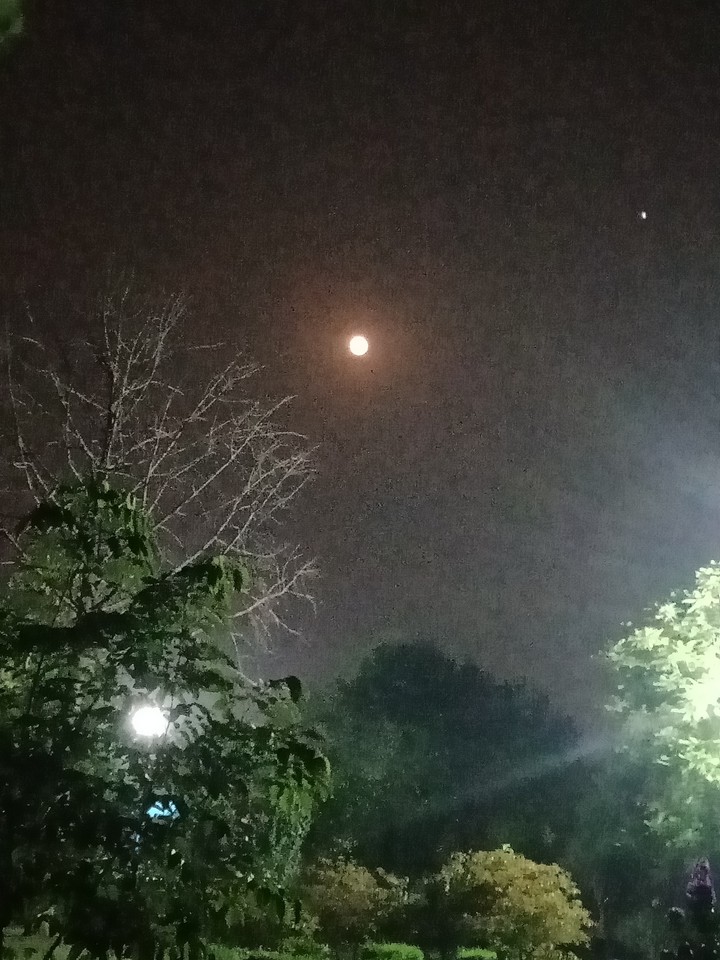 Moon