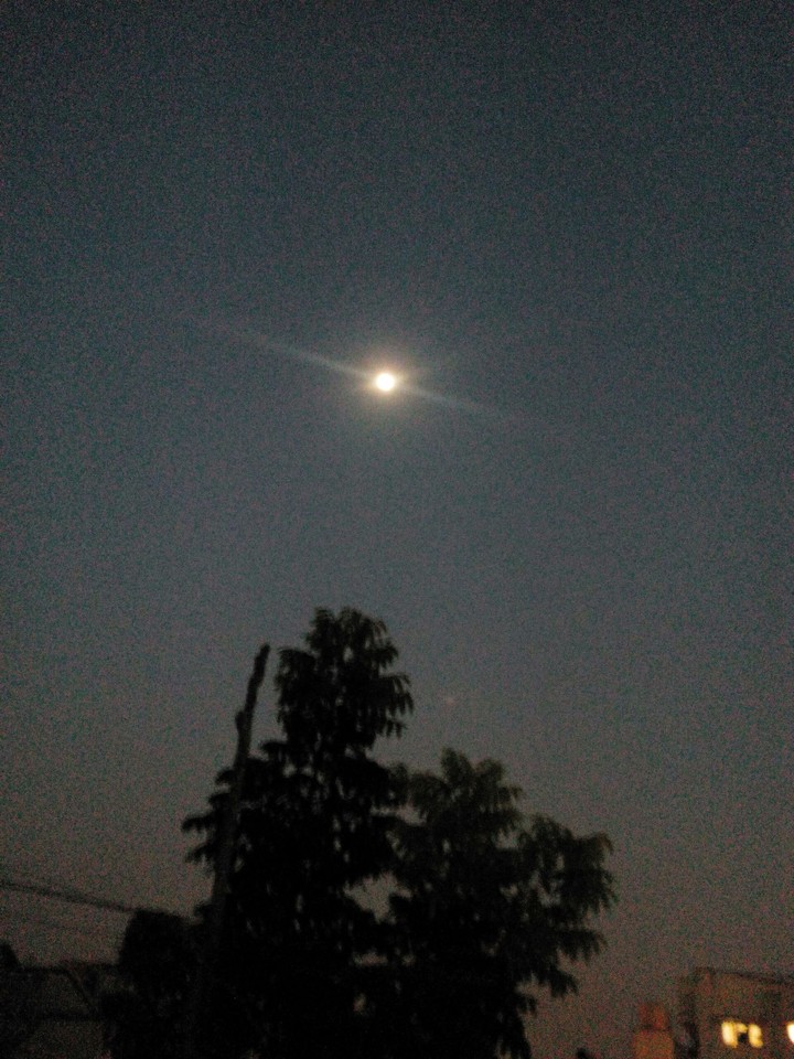 rohini star