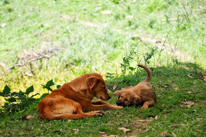 #Mother love