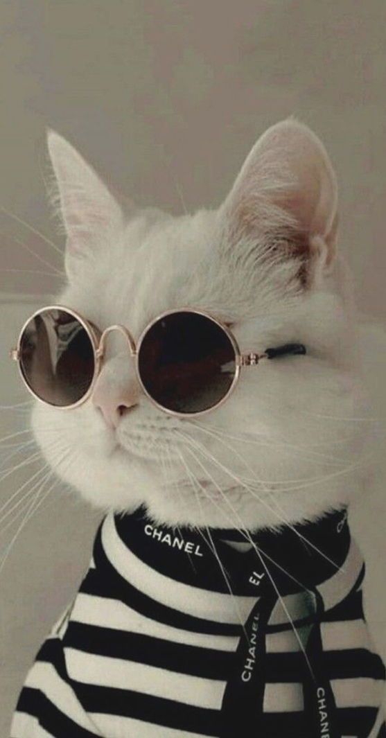 ?