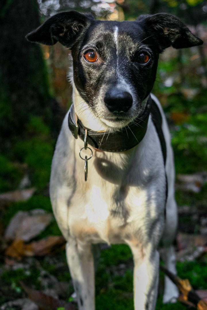 Those eyes