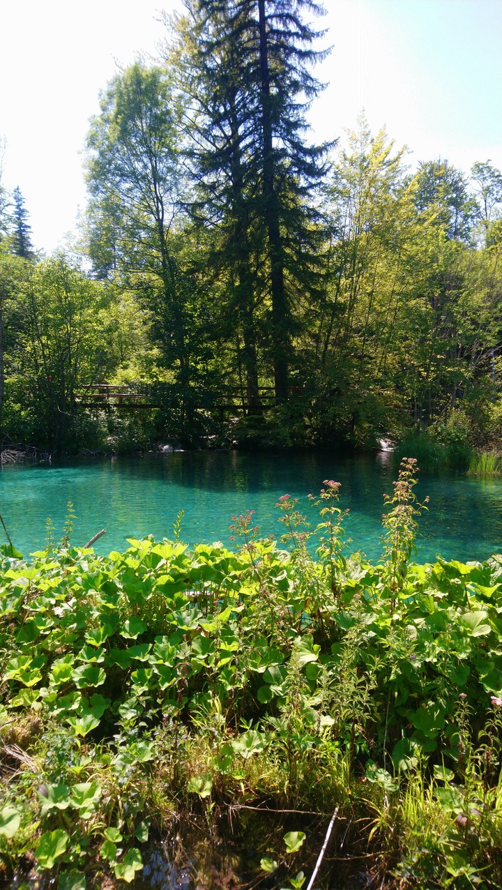 Plitvicei tavak