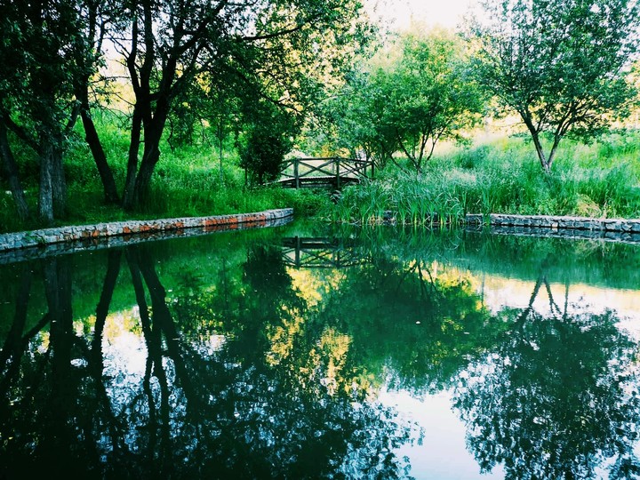 Guimarães City Park