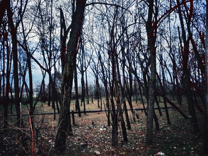 Winter