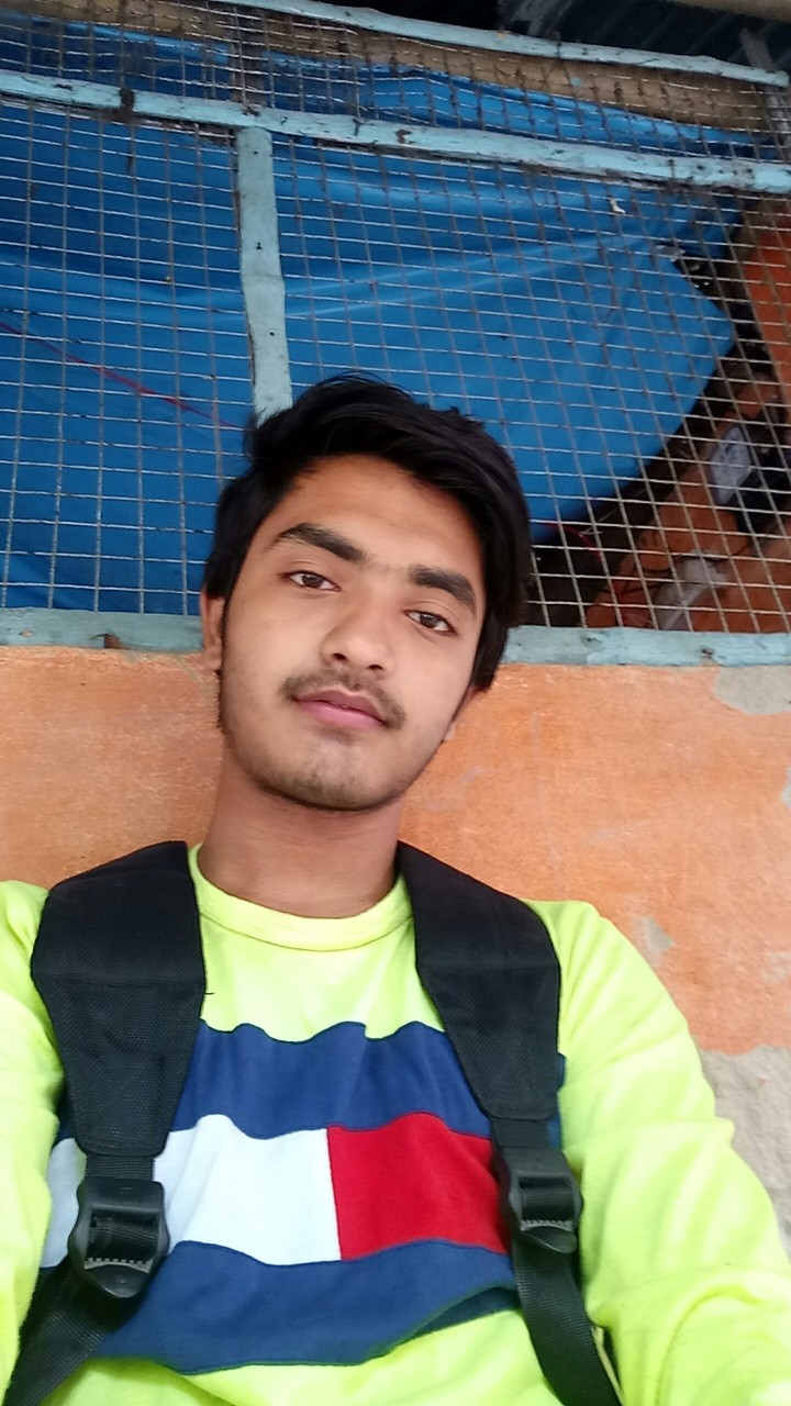 Anarul Mistri