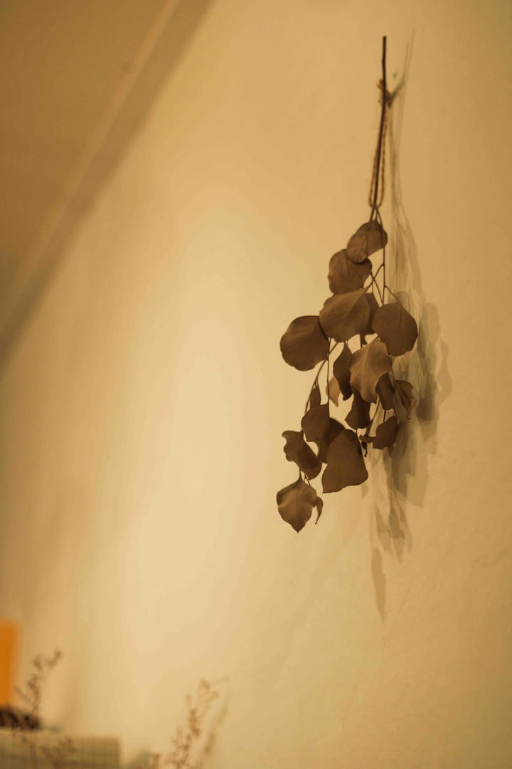 dryflower