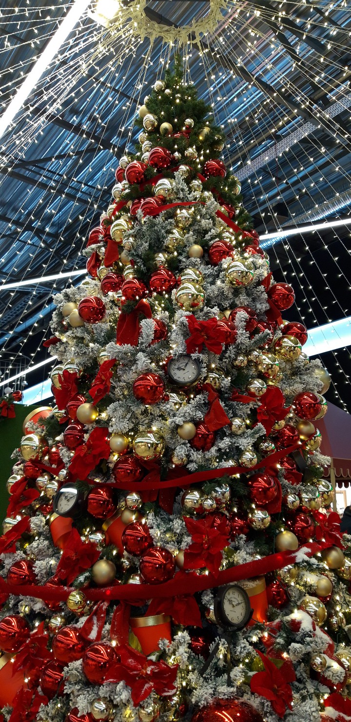 It's all about Christmas