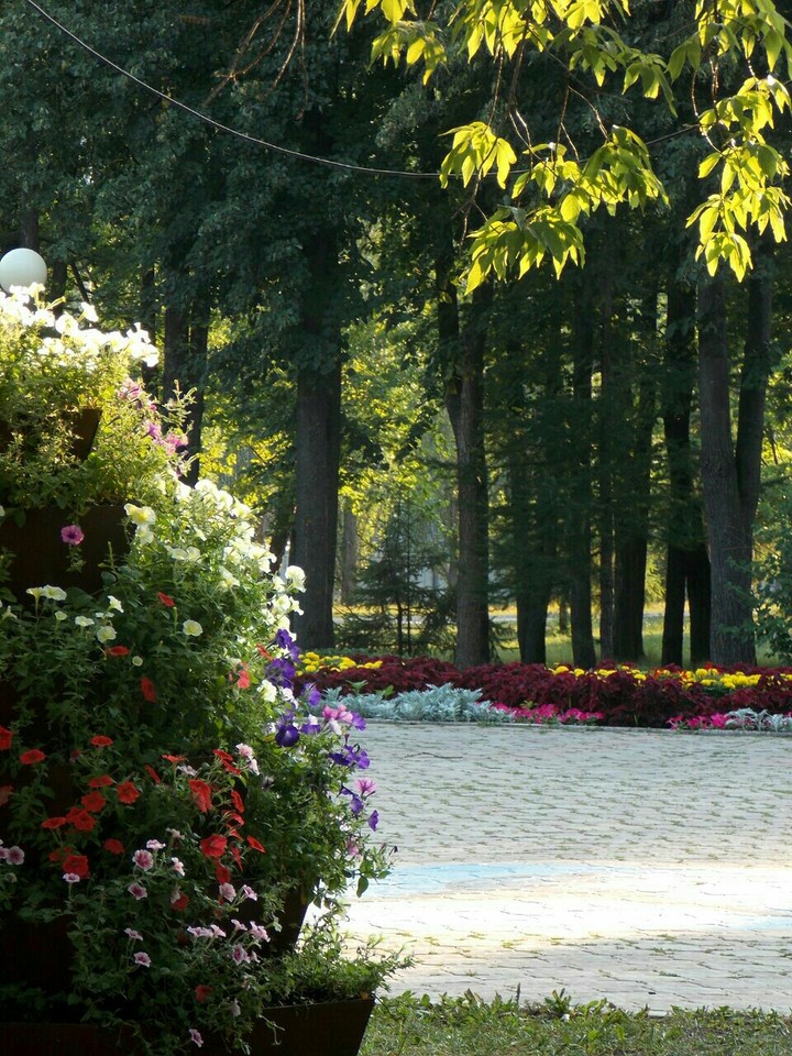 park
