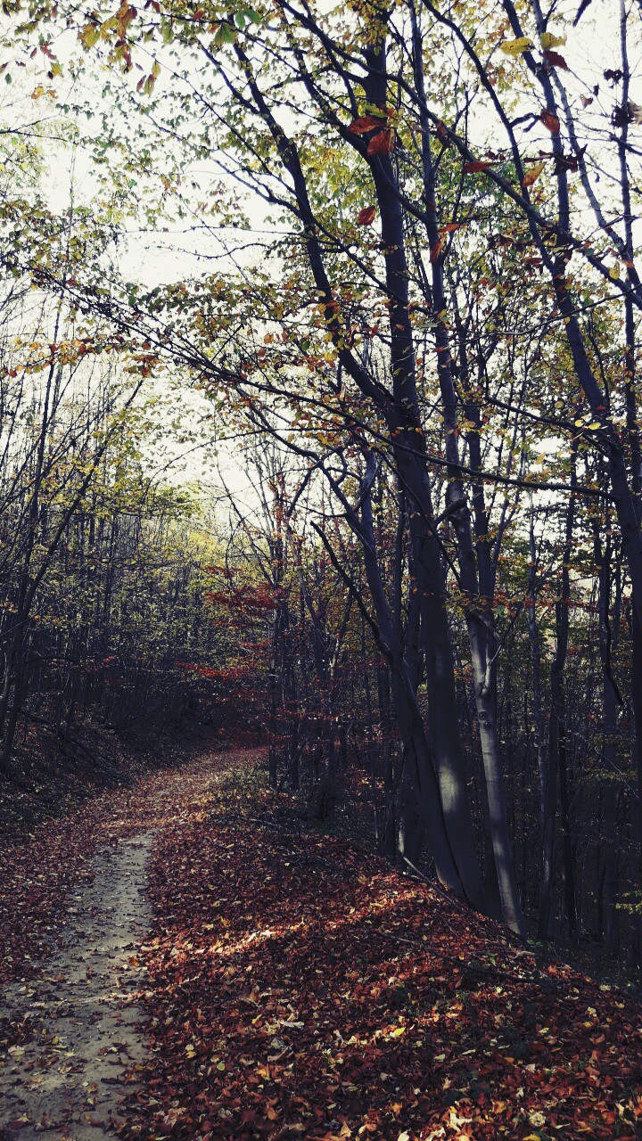 Autumn