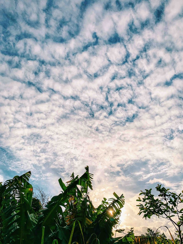 Sky