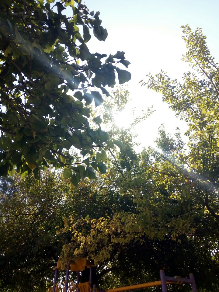 sun