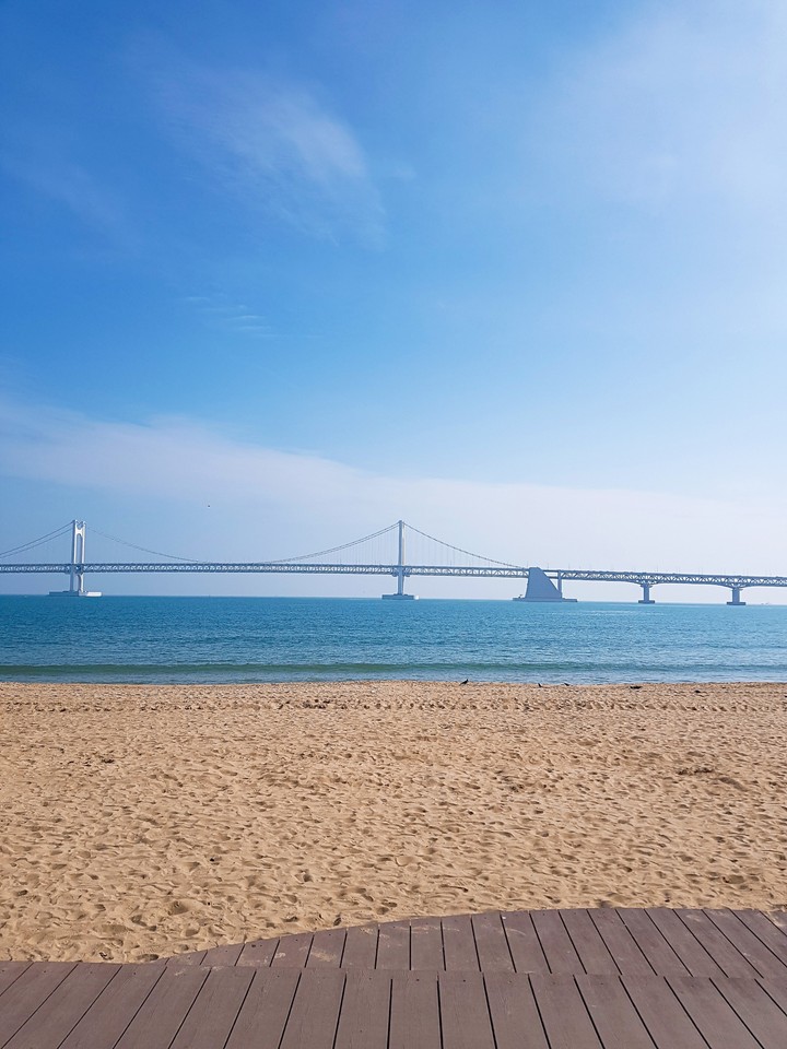 Bridge Busan(바다)