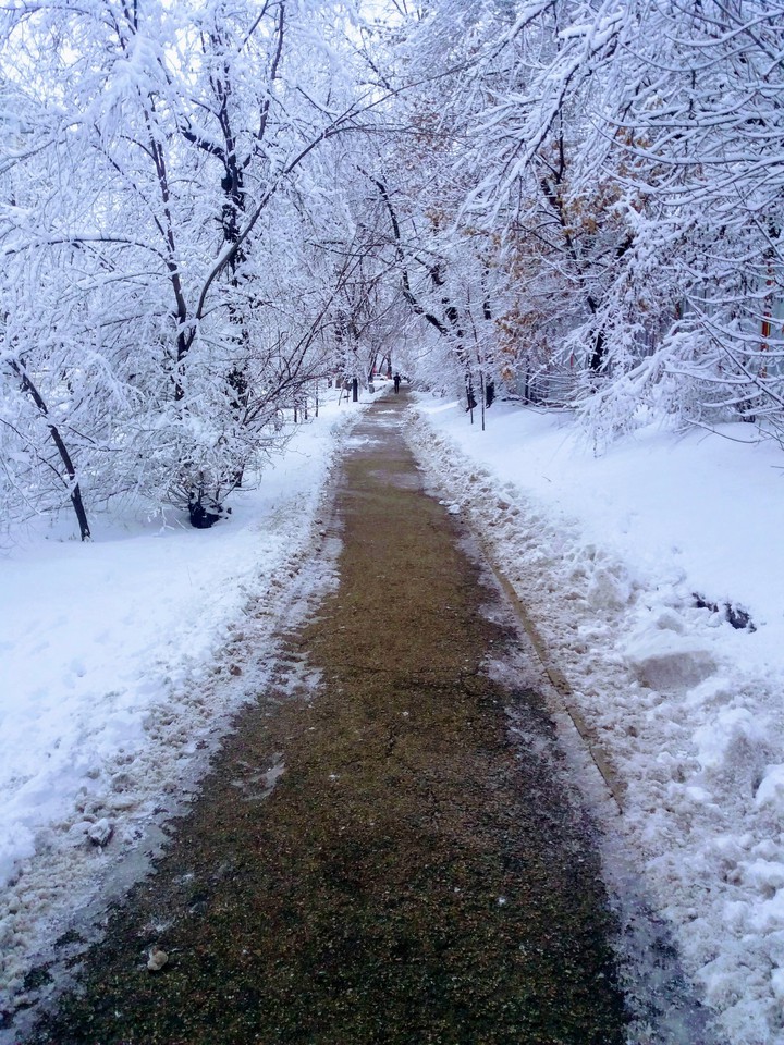 winter