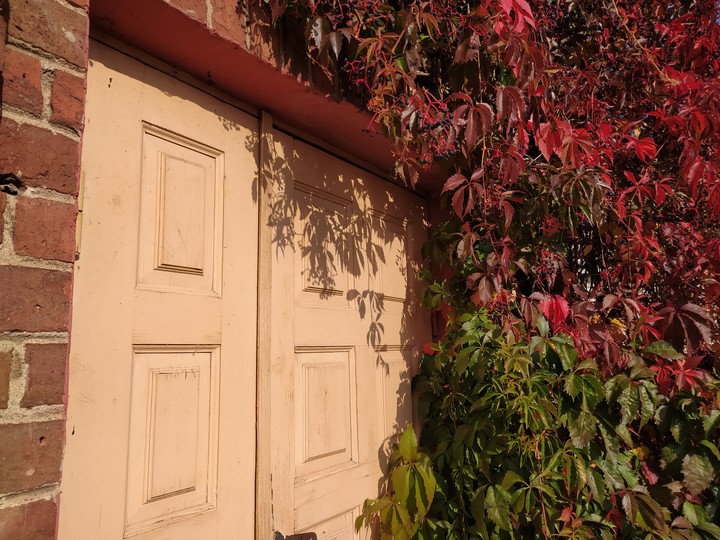 feeling autumn