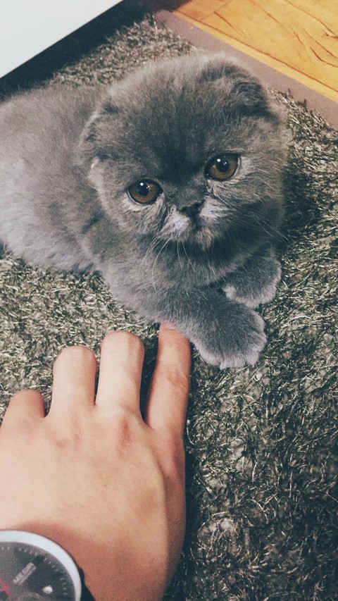 가족의 평화지켜주는 애기