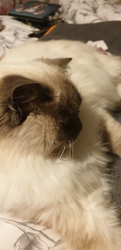 not wanting her photo taken!!